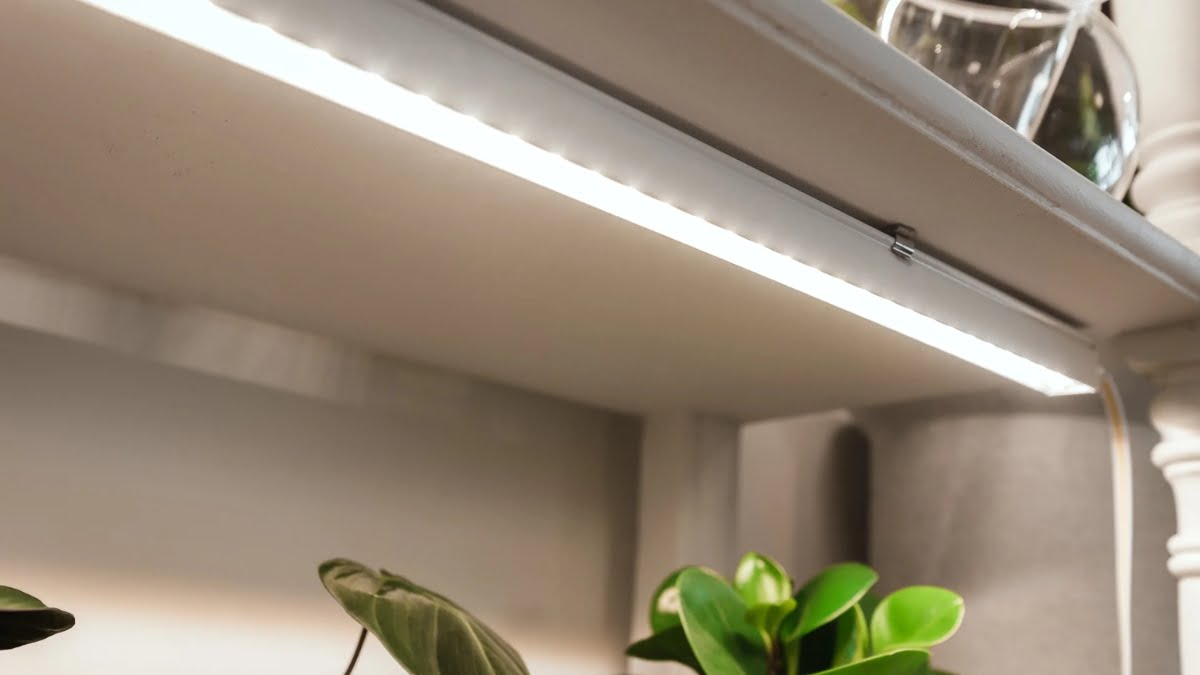 Can You Use LED Strip Lights to Grow Plants